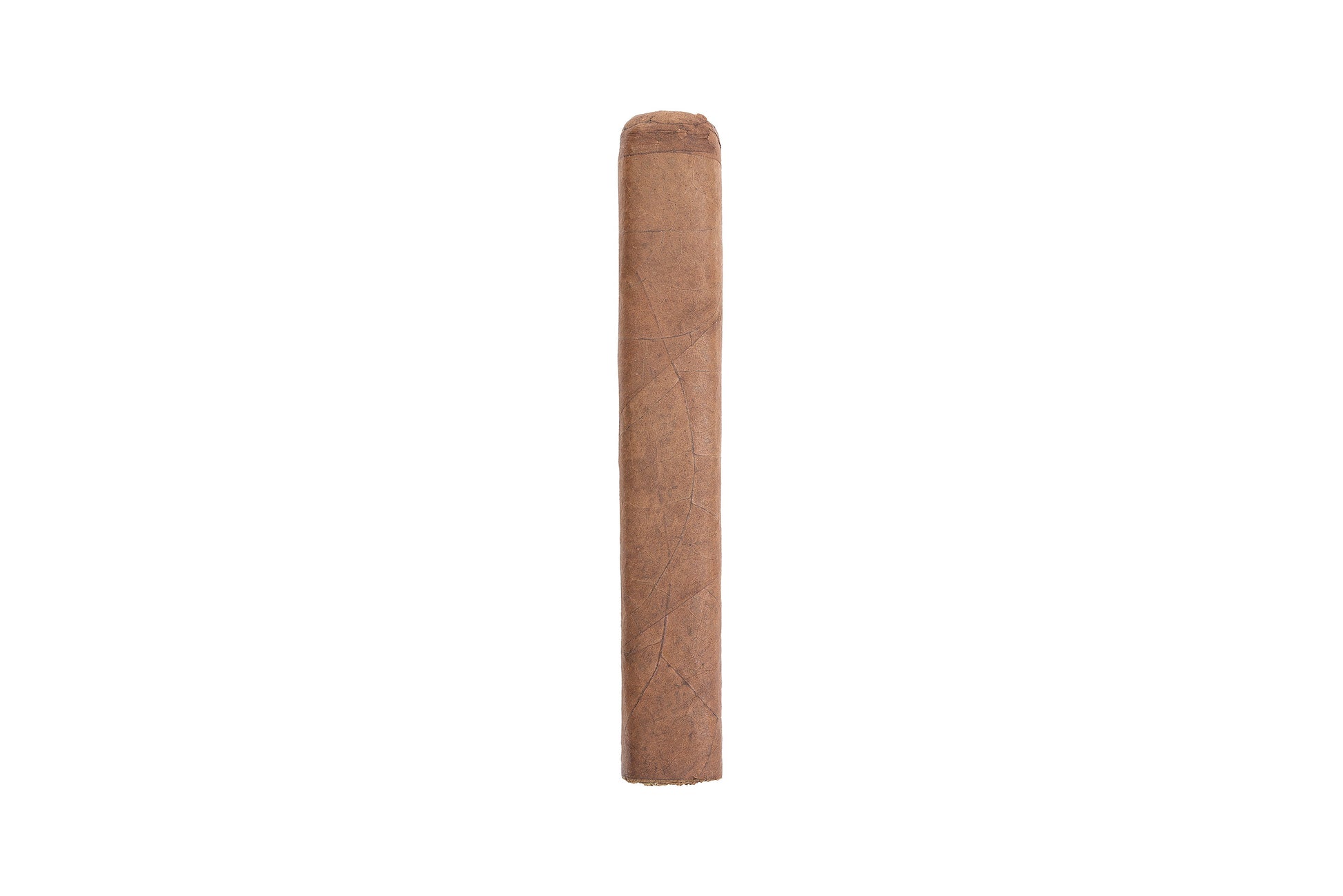 Premium Gordo Cigar | Gordo Cigar | Lorenzo & Son's Cigars