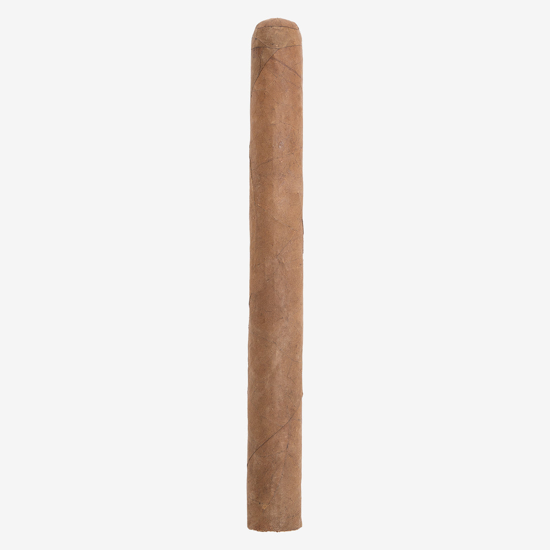 Double Corona Cigar | Best Cigar | Lorenzo & Son's Cigars